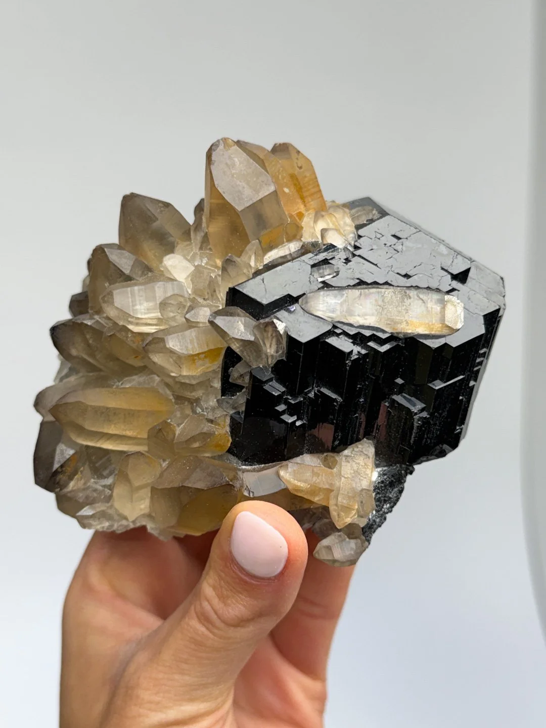 April Update.2026-163.jpg