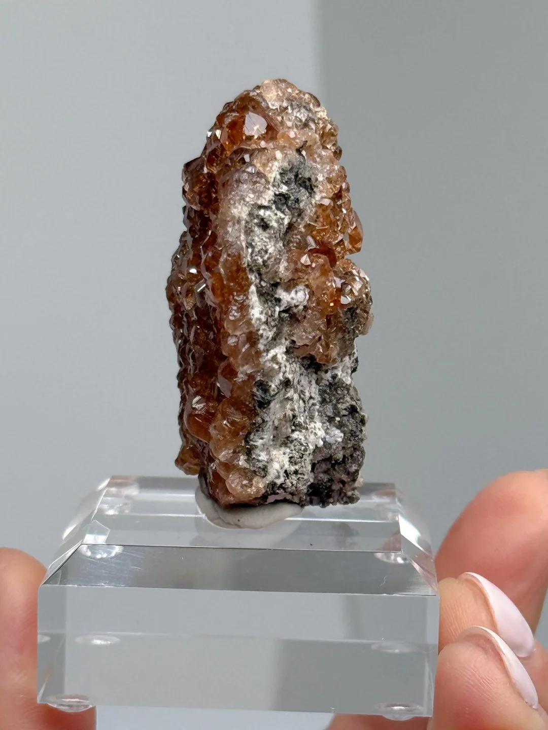 April Update.2026-91.jpg