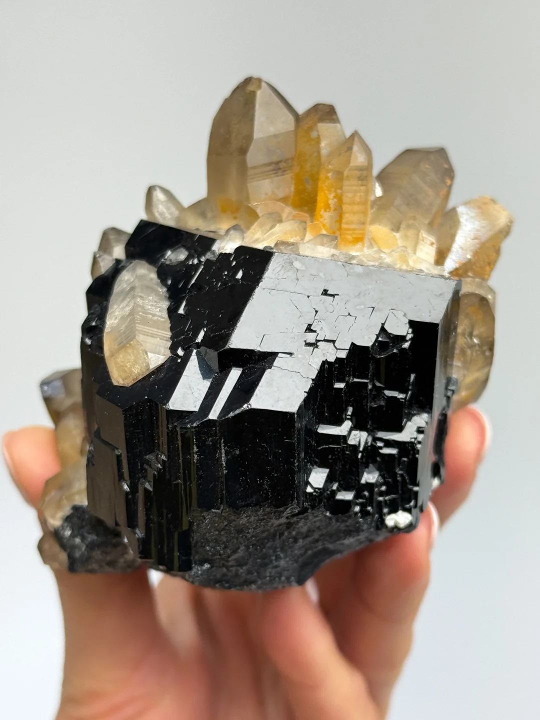 April Update.2026-165.jpg