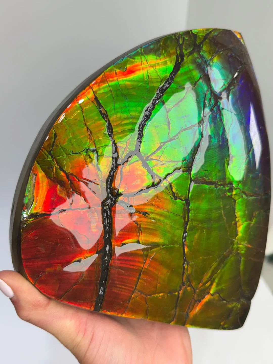 April Update.2026-143.jpg