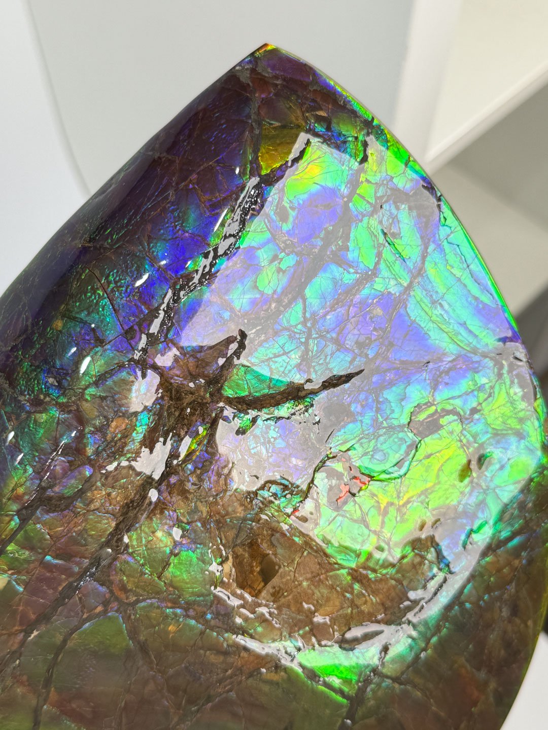 April Update.2026-150.jpg