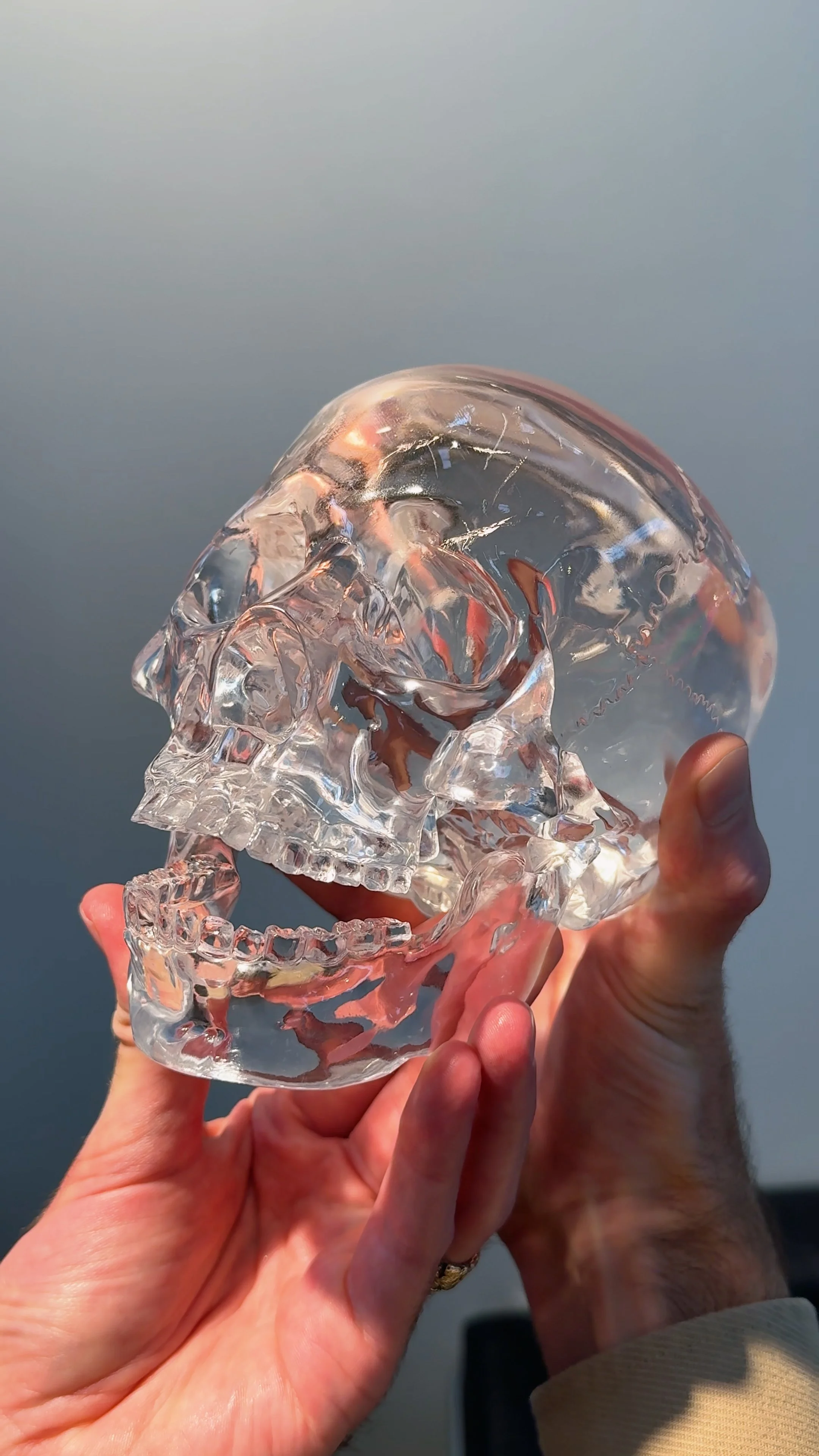 sheboossound-[Micheal Peuster Anatomical Skull Carving - $40,000]