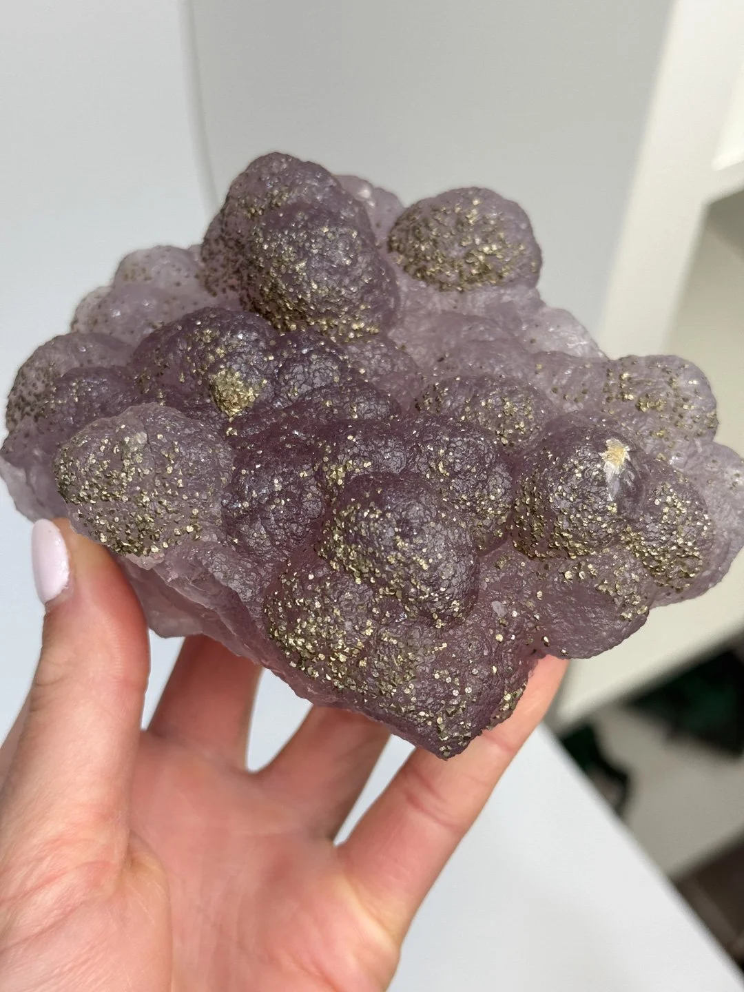 April Update.2026-100.jpg