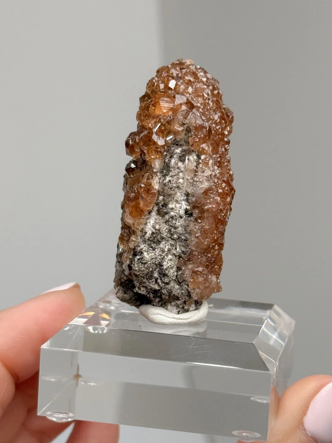 April Update.2026-90.jpg