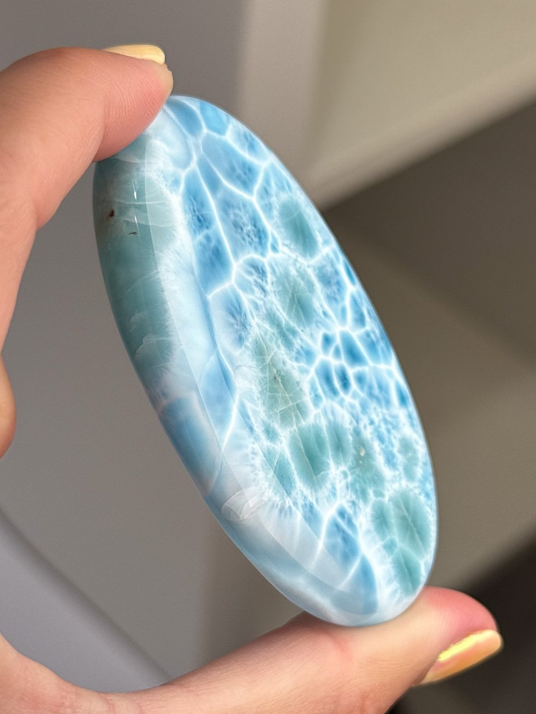 Larimar_Update_183.jpg