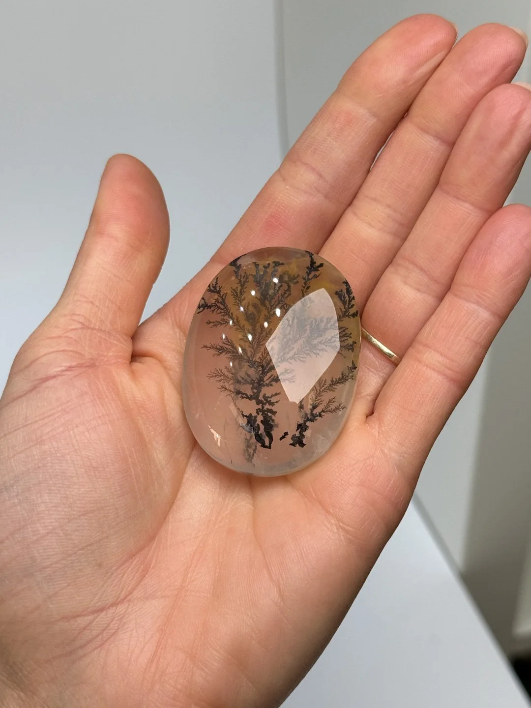 April Update.2026-77.jpg