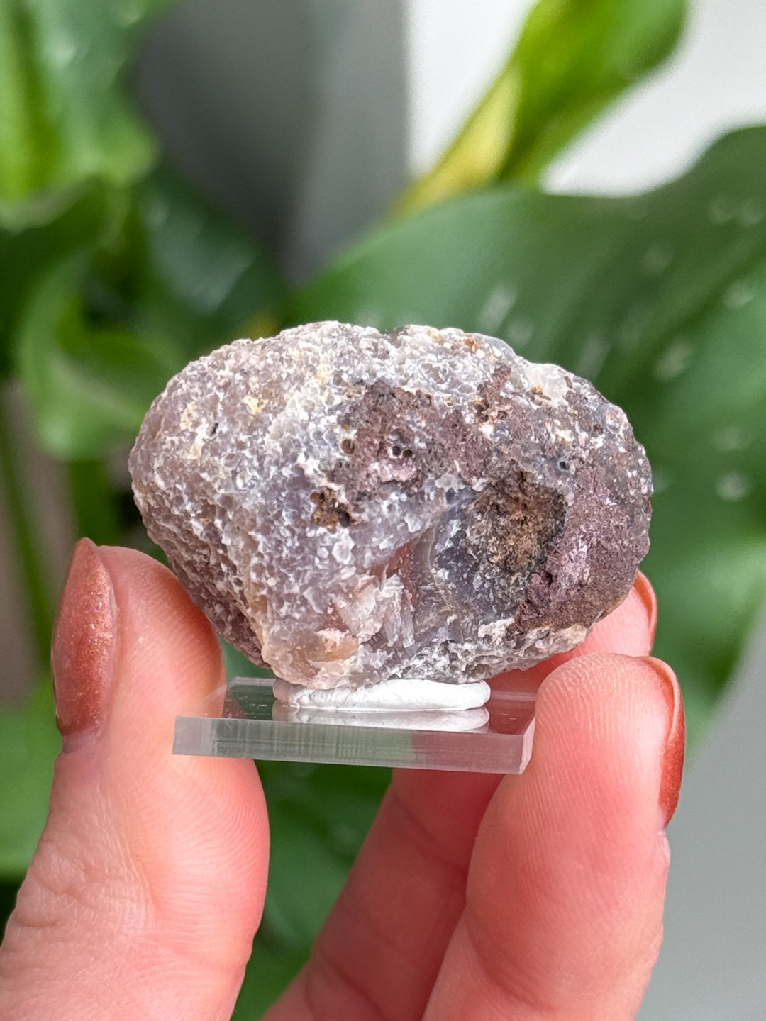 Agate-198.jpg