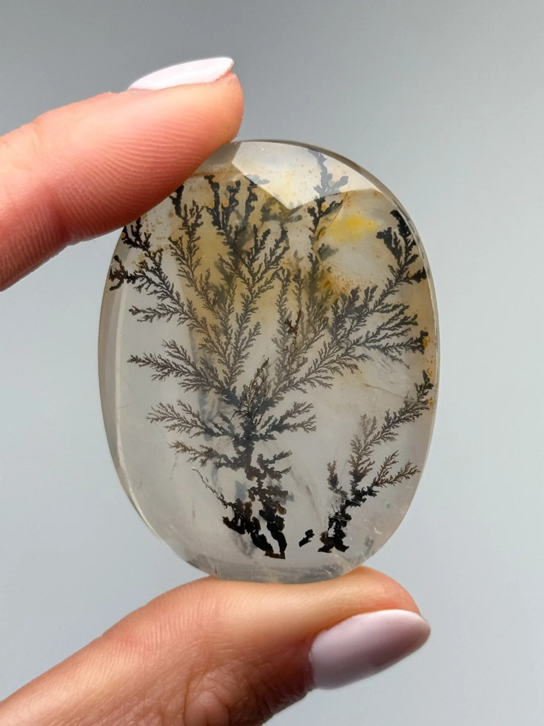 April Update.2026-73.jpg