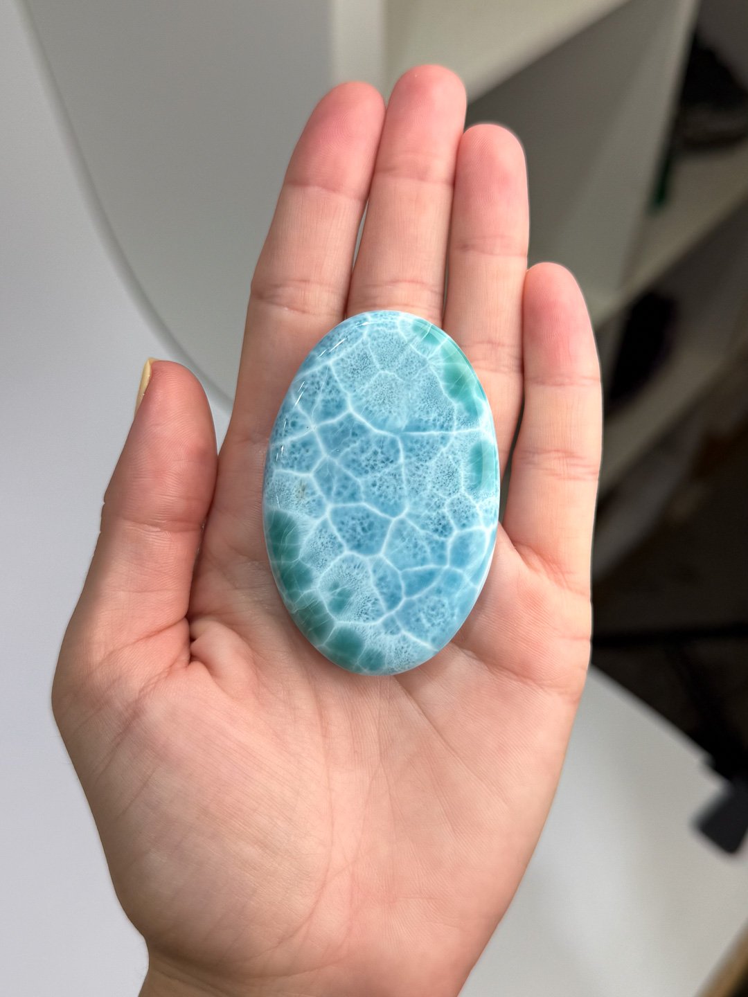 Larimar_Update_1126.jpg