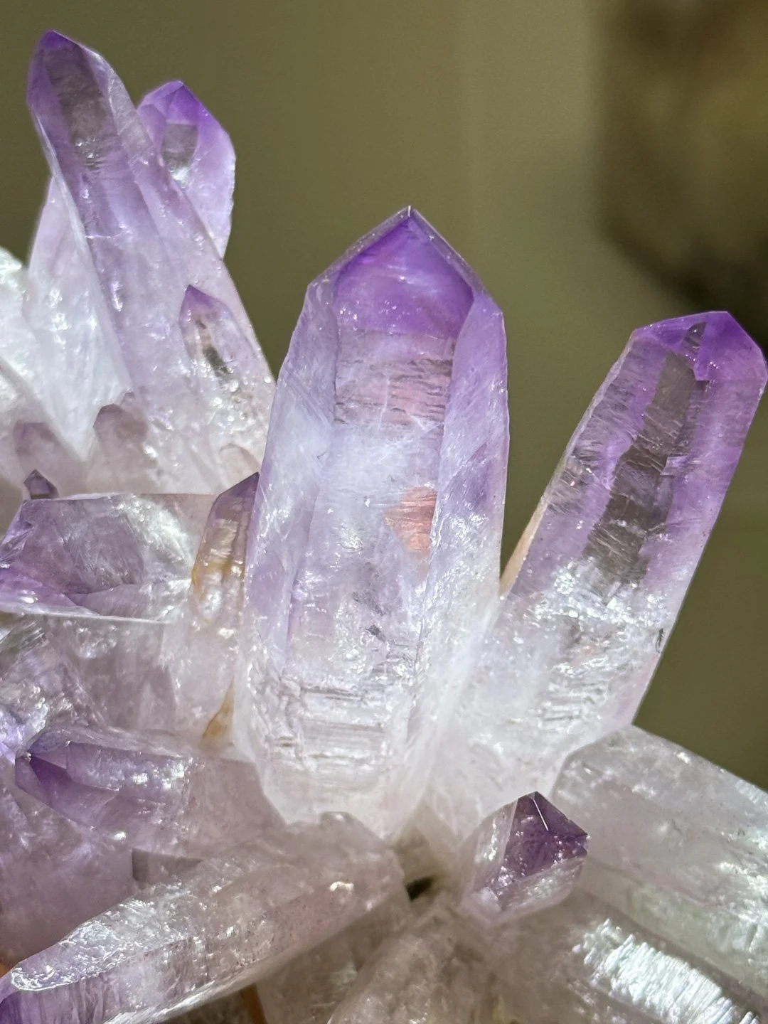 April Update.2026-135.jpg