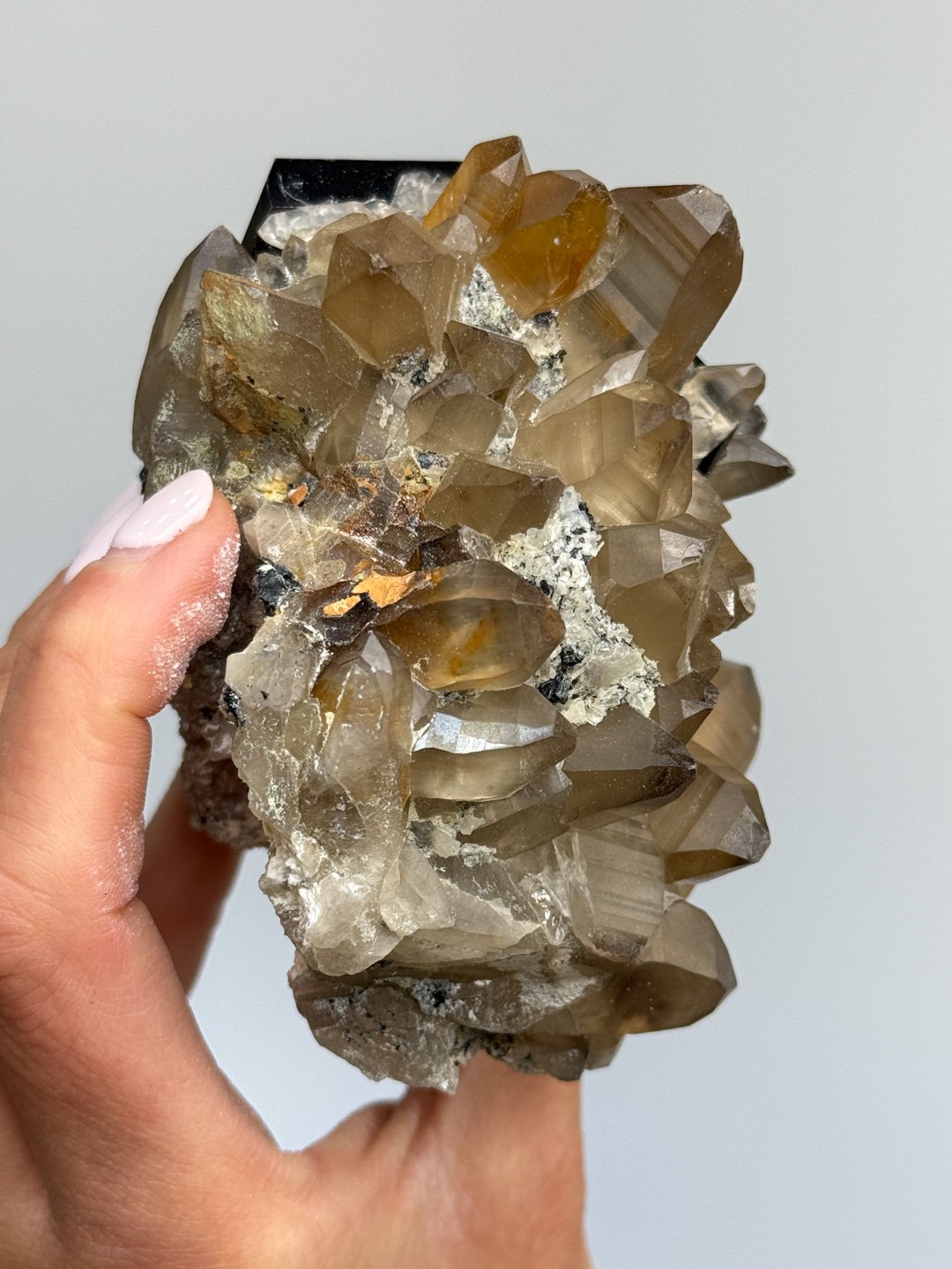 April Update.2026-168.jpg