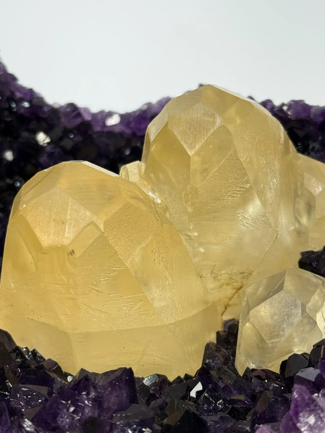 April Update.2026-162.jpg