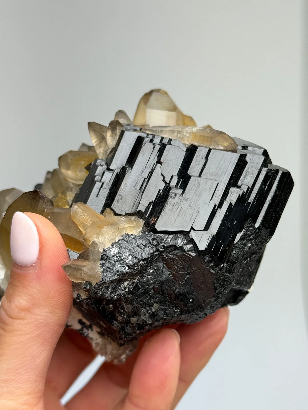 April Update.2026-166.jpg