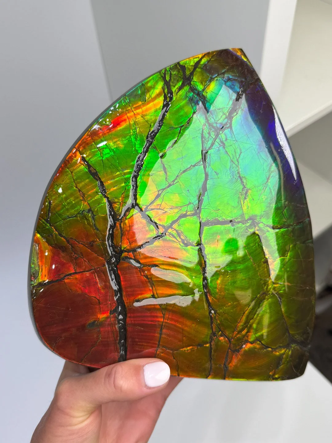 April Update.2026-142.jpg