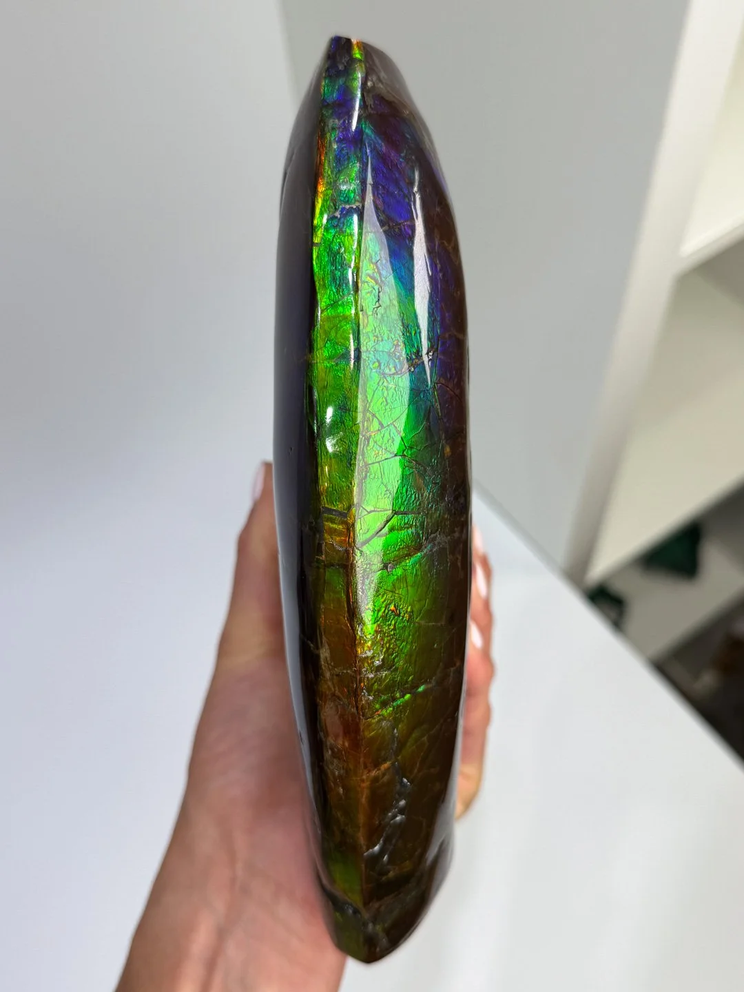 April Update.2026-147.jpg