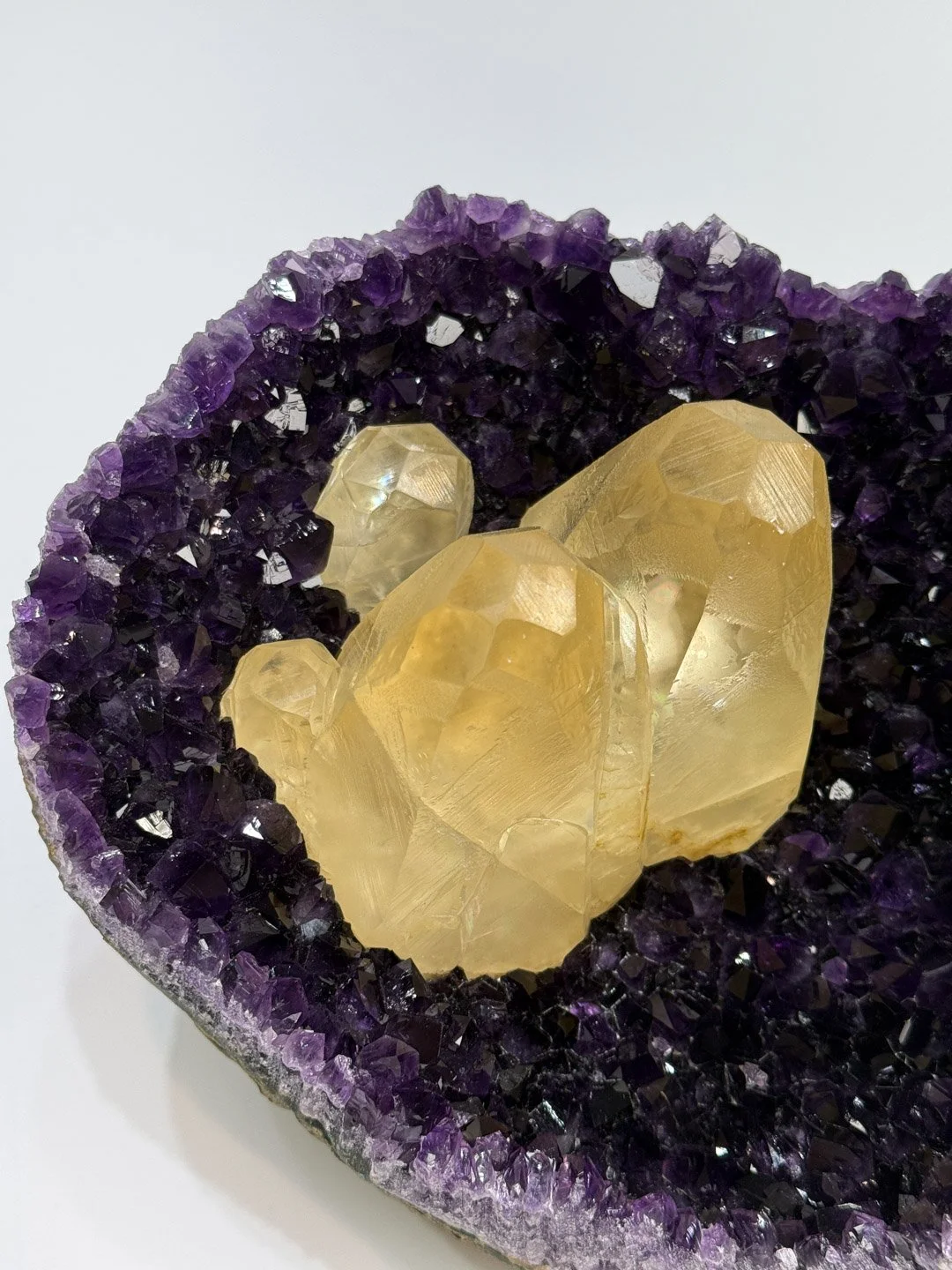 April Update.2026-158.jpg