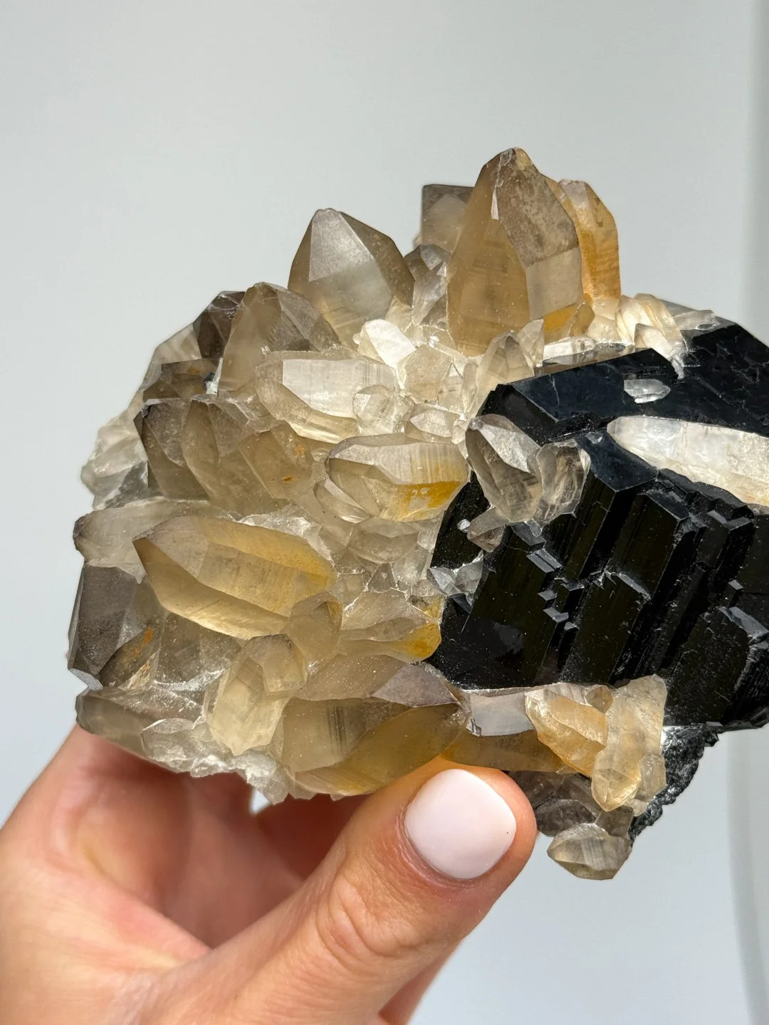 April Update.2026-167.jpg