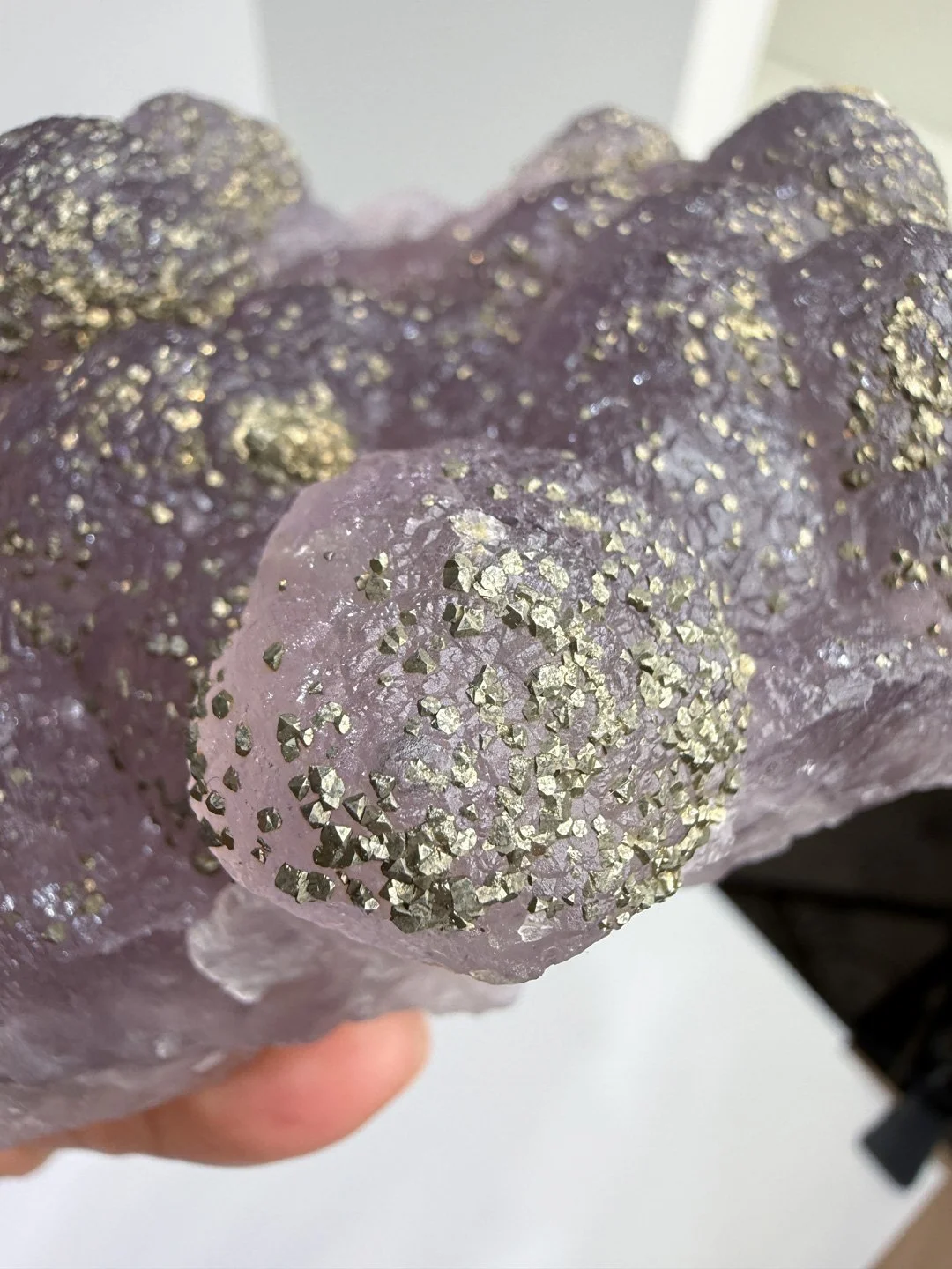 April Update.2026-106.jpg