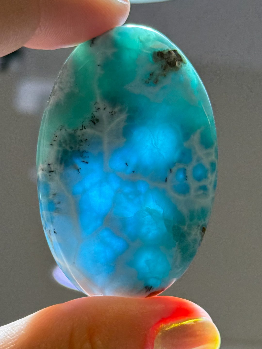 Larimar_Update_1105.jpg