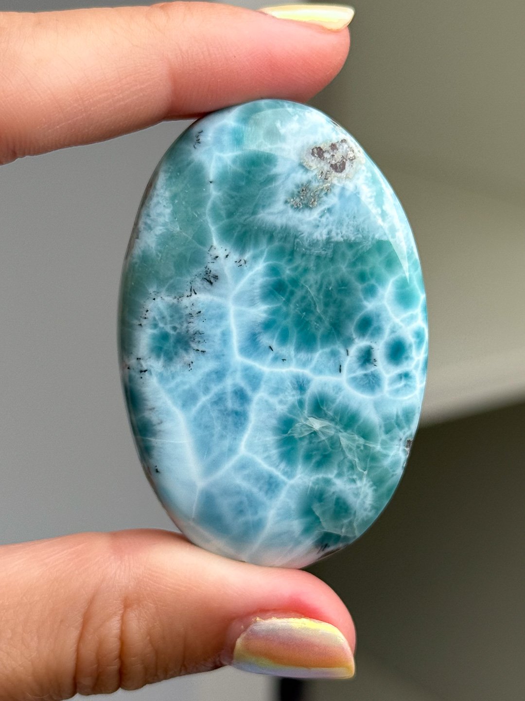 Larimar_Update_1102.jpg