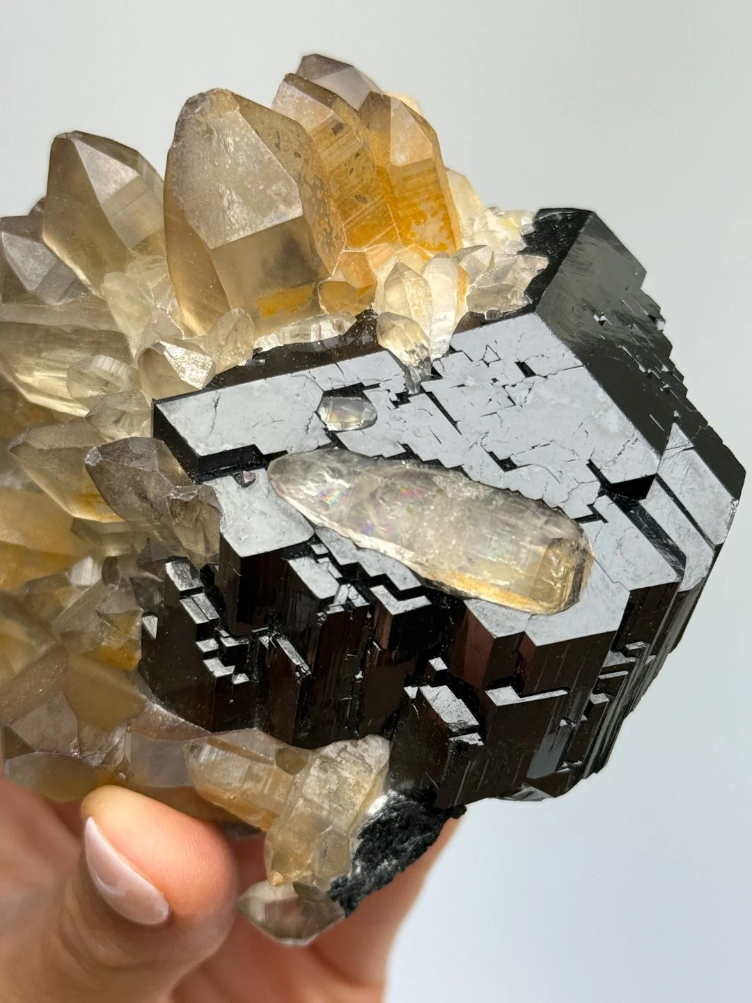 April Update.2026-164.jpg