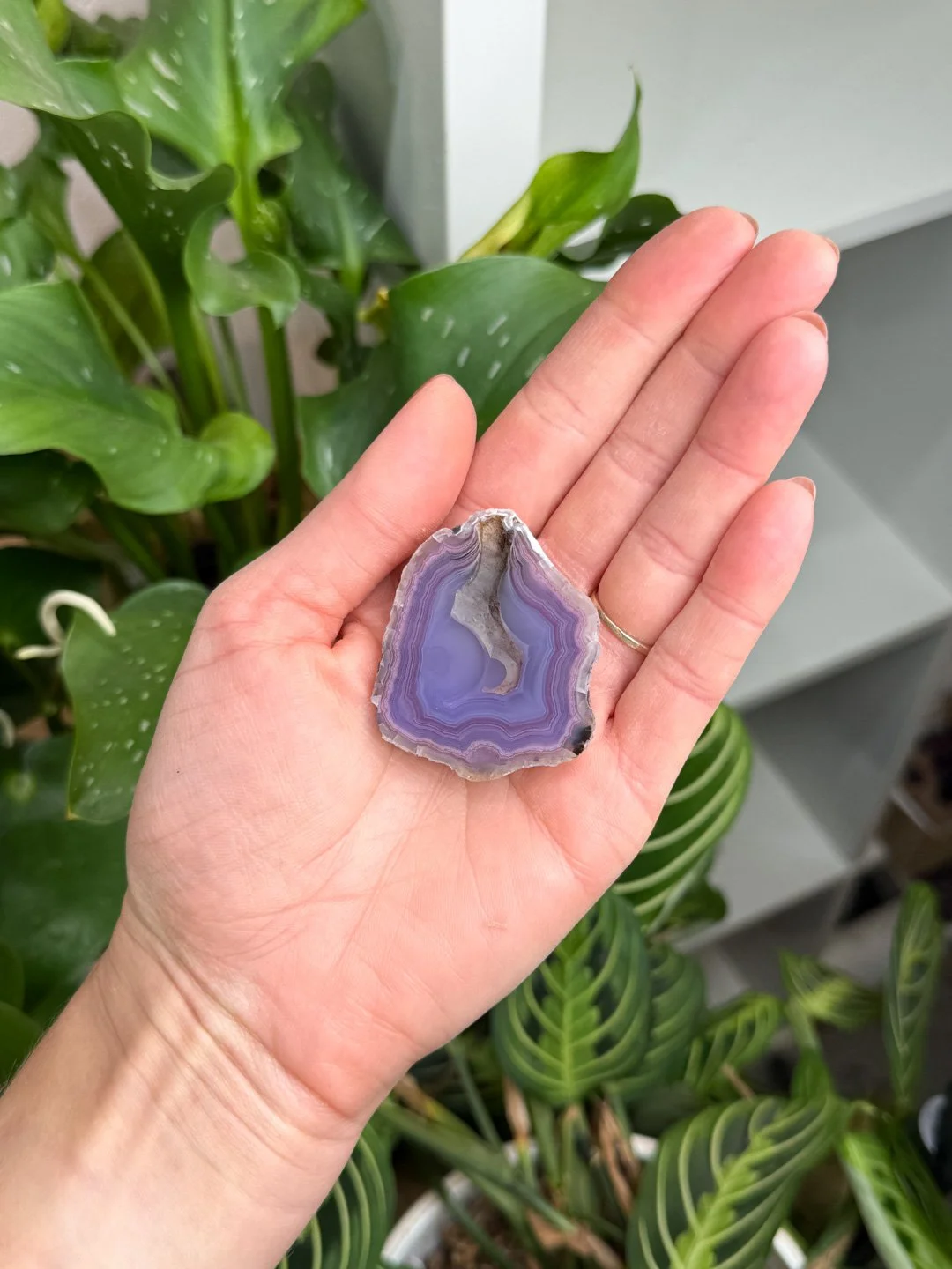 Agate-52.jpg