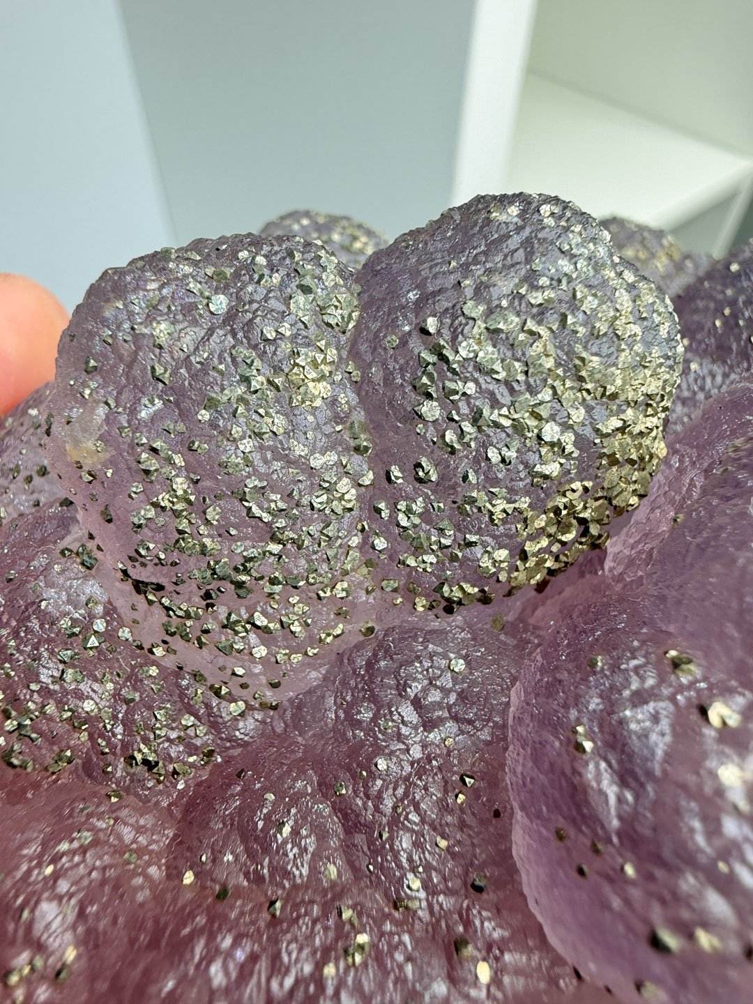 April Update.2026-105.jpg