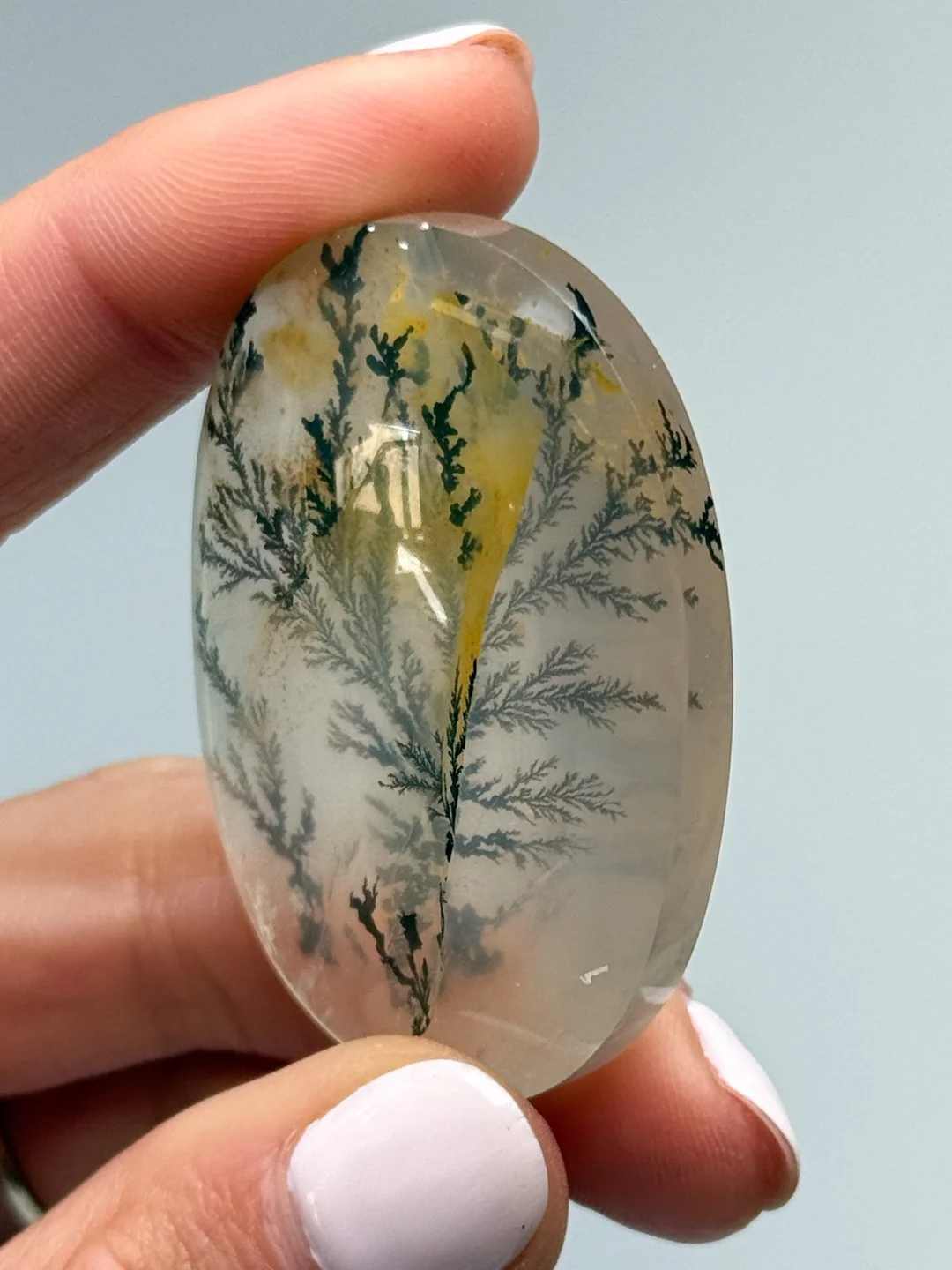 April Update.2026-76.jpg