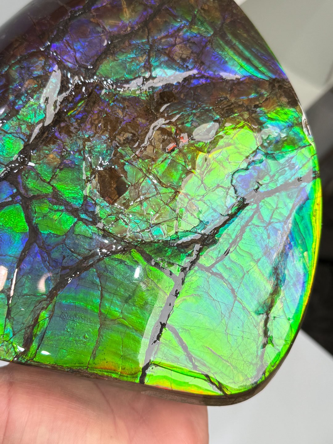 April Update.2026-151.jpg