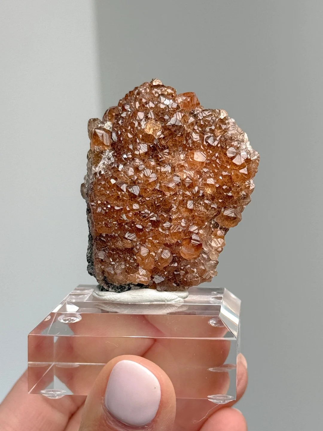 April Update.2026-88.jpg