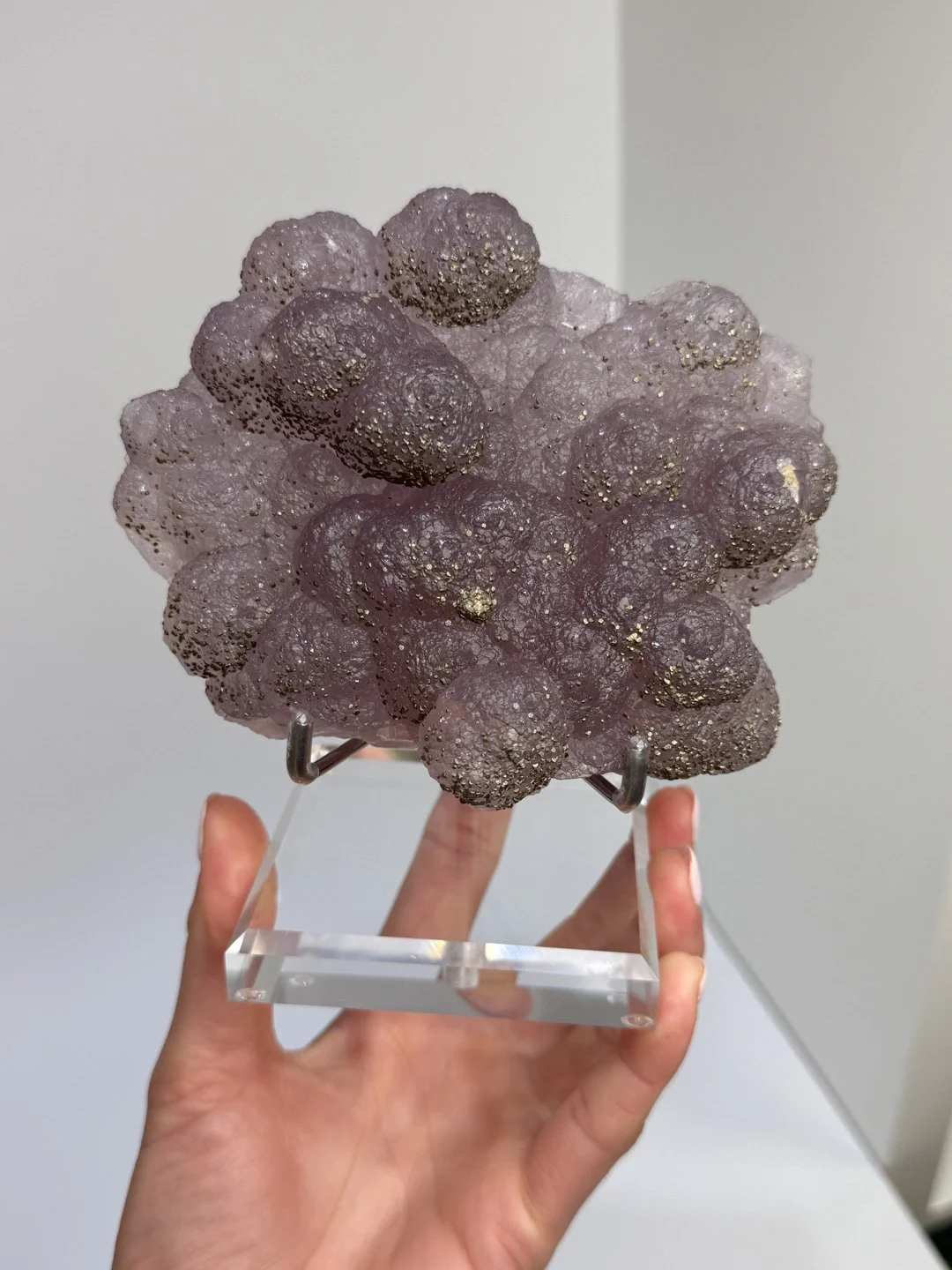 April Update.2026-97.jpg