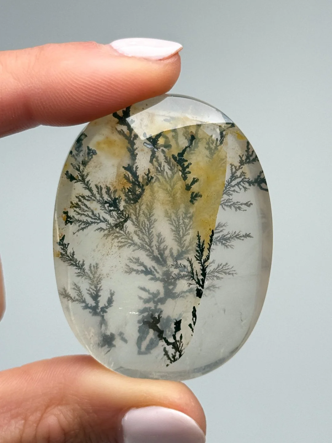 April Update.2026-75.jpg