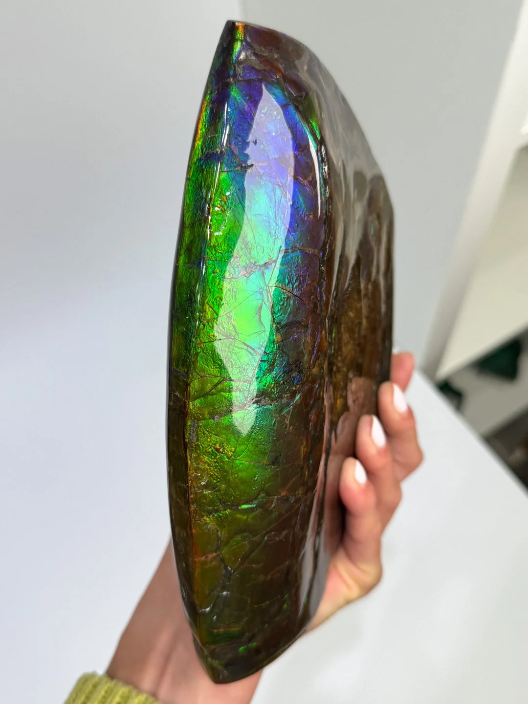 April Update.2026-148.jpg