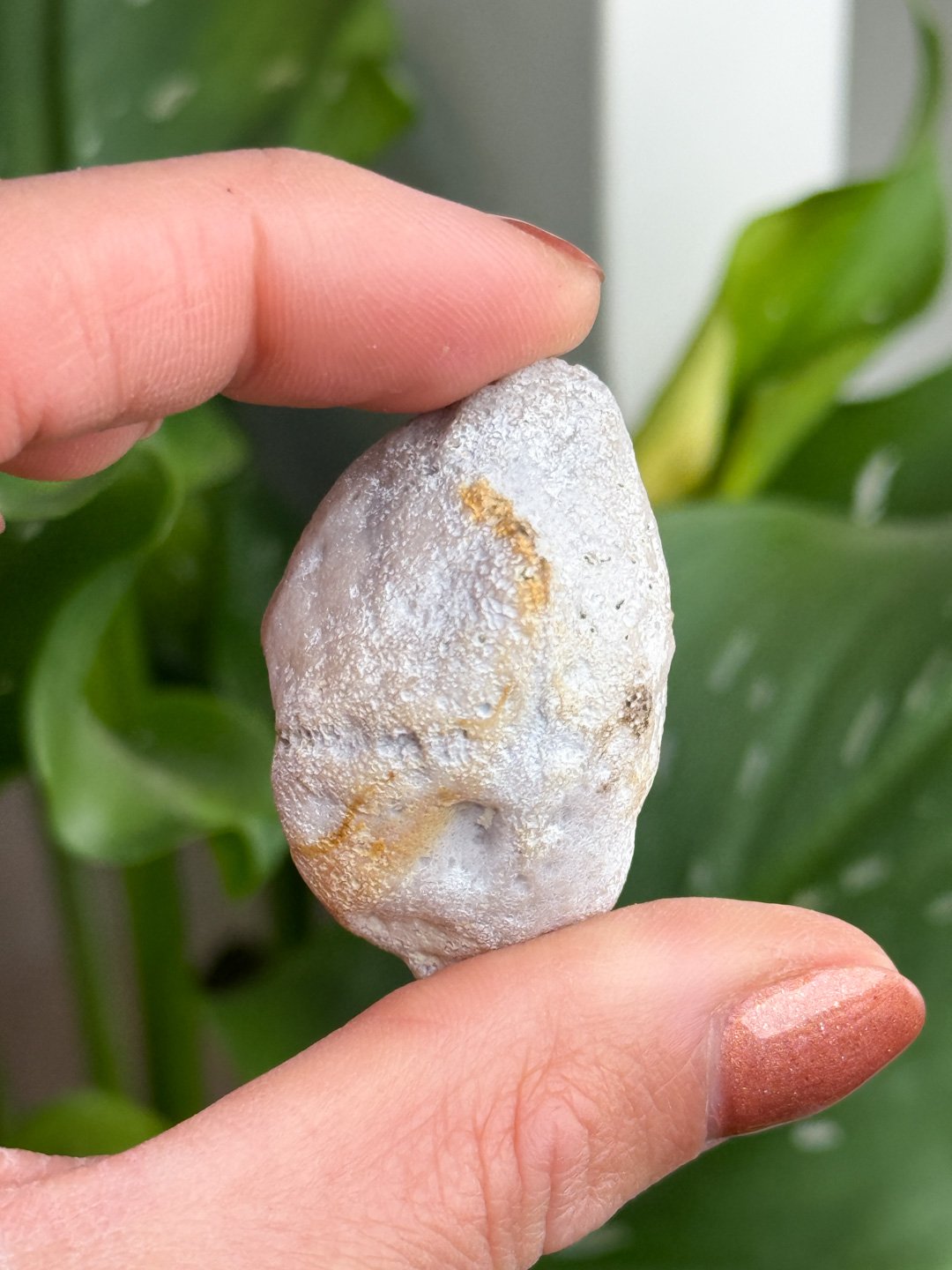 Agate-157.jpg