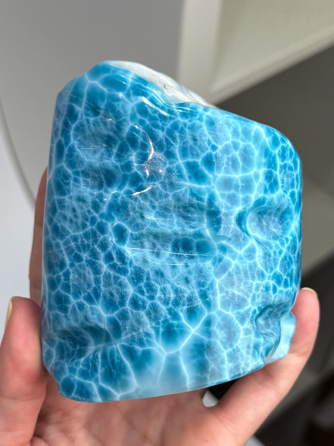 Larimar_Update_1138.jpg