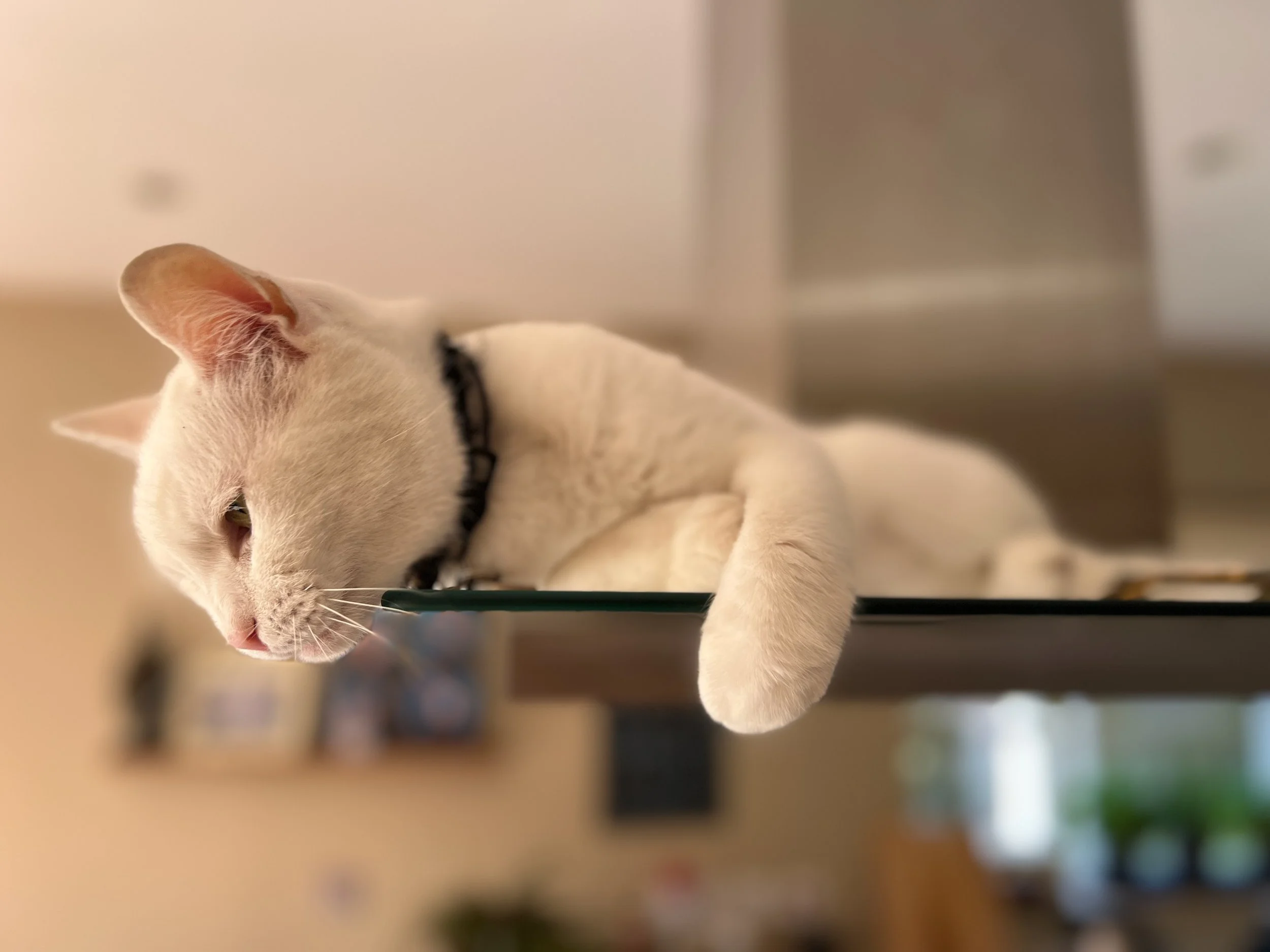 2025 H1 - 6 of 48.jpeg