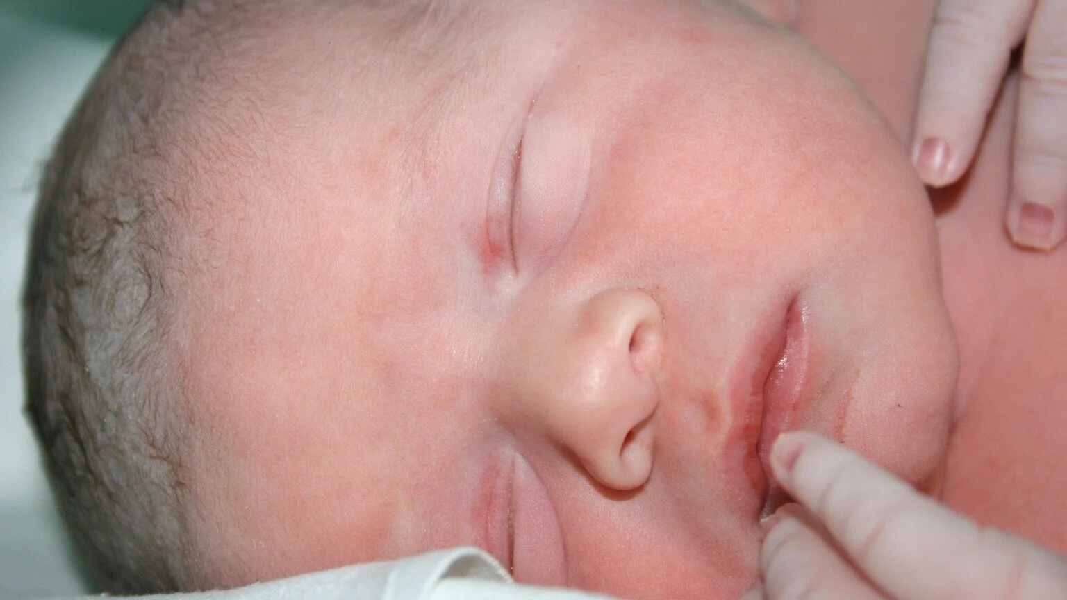 The Culveys… Czeching In - Aug 2006