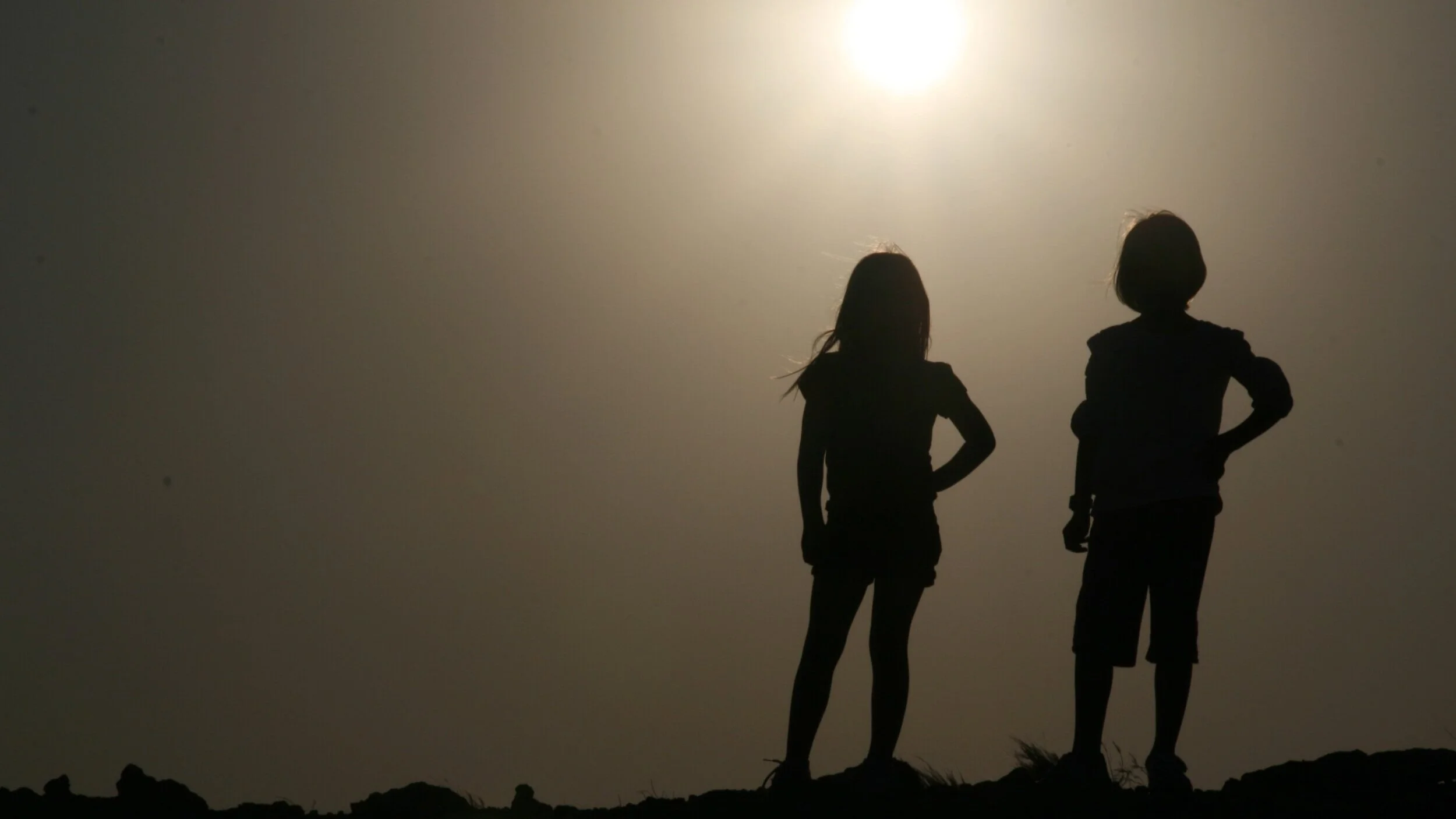 Roasted Culveys in Kuwait - Dec 2010