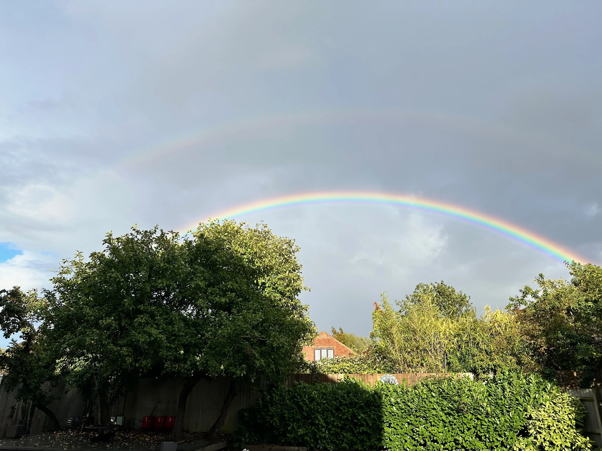 2025 H2 - 76 of 178.jpeg