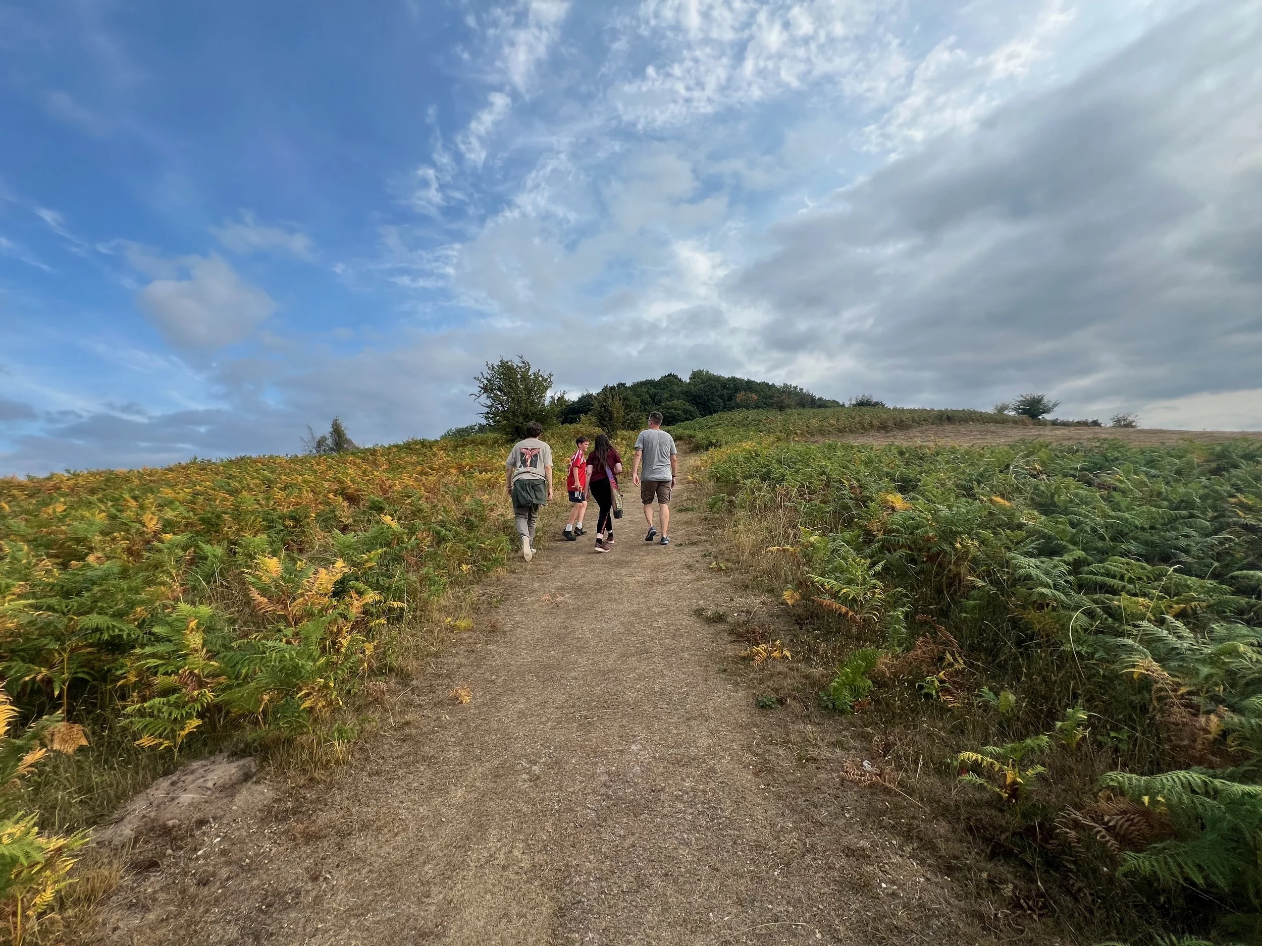 2025 H2 - 57 of 178.jpeg