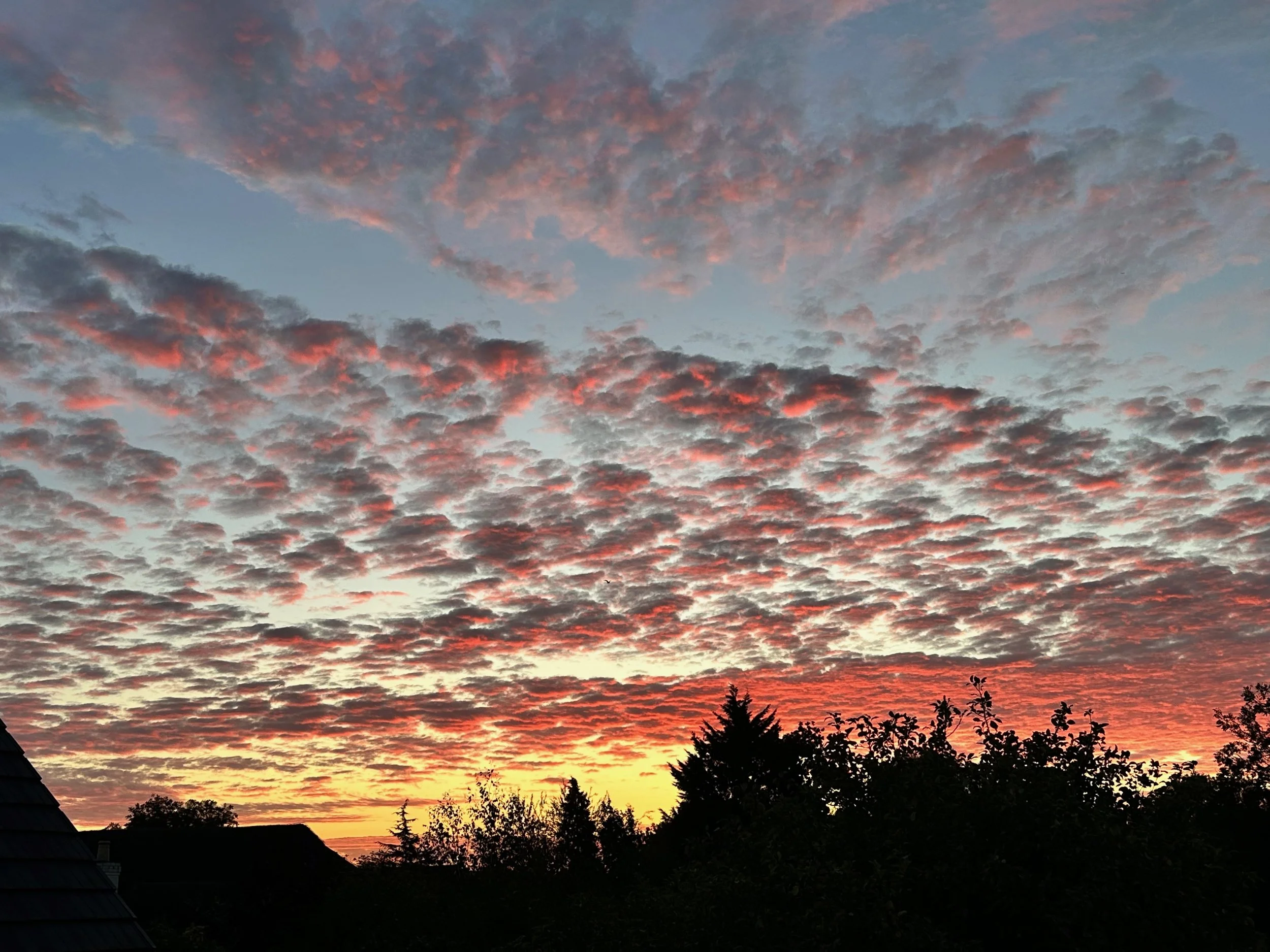 2025 H2 - 77 of 178.jpeg