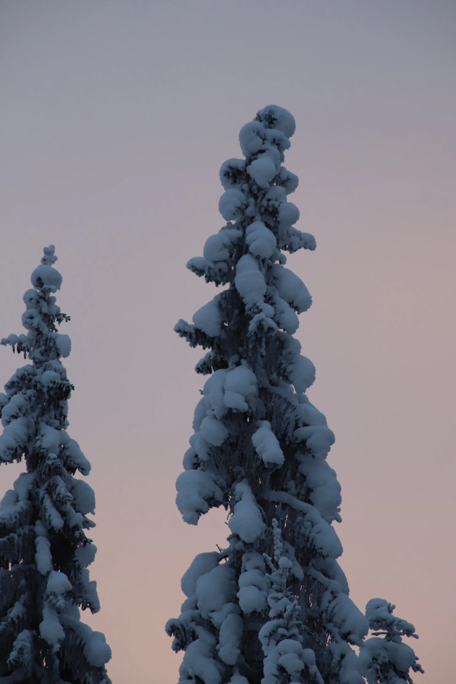 Pohjois- Karjalan luontoa eri vuodenaikoina