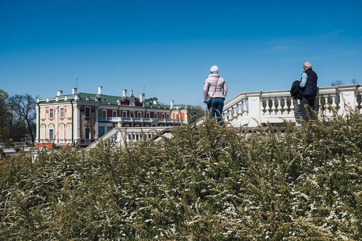Photo from Kadriorg. Couple watching palace. Tallinn Estonia