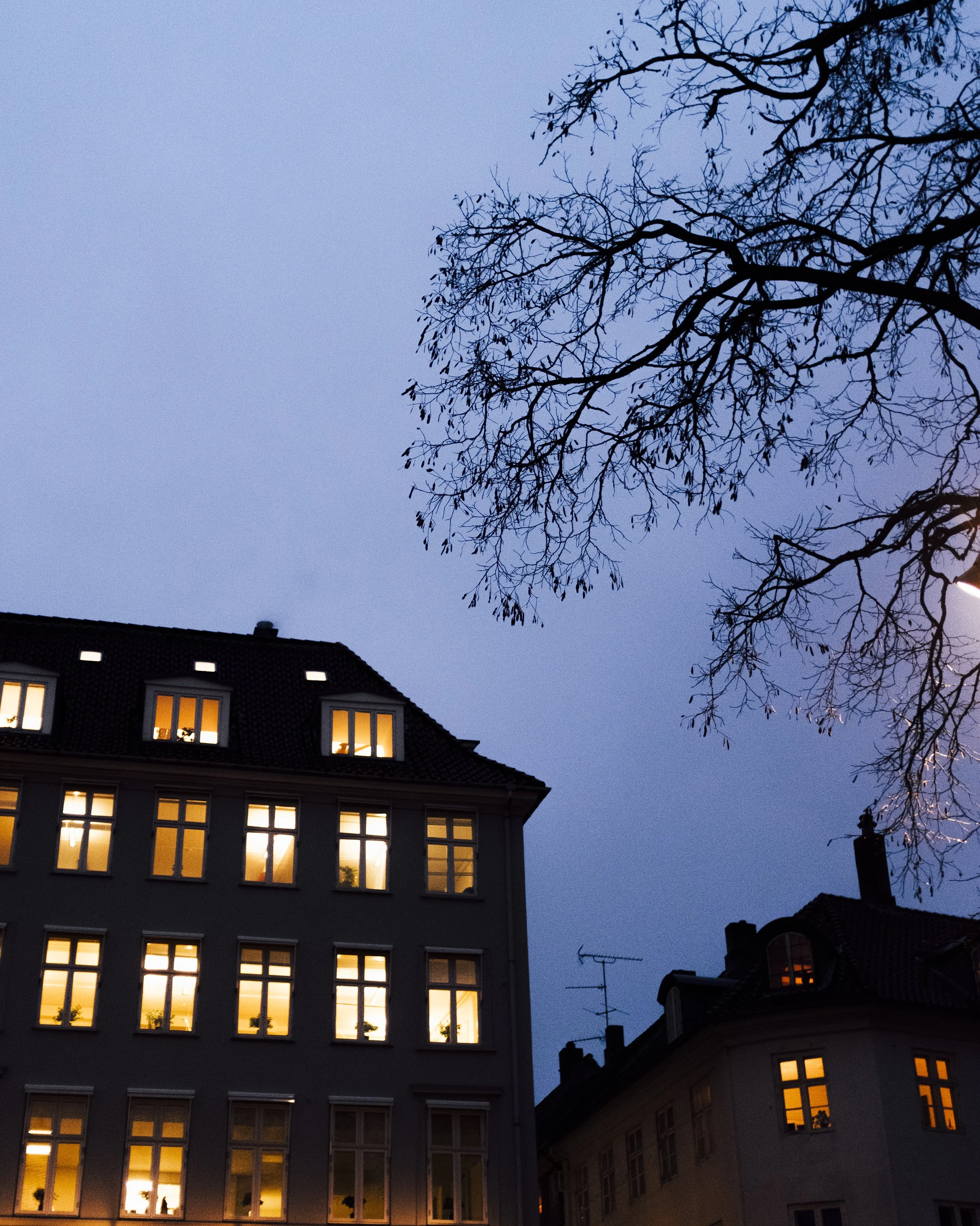 Buildings after dark in Copenhagen Denmark
