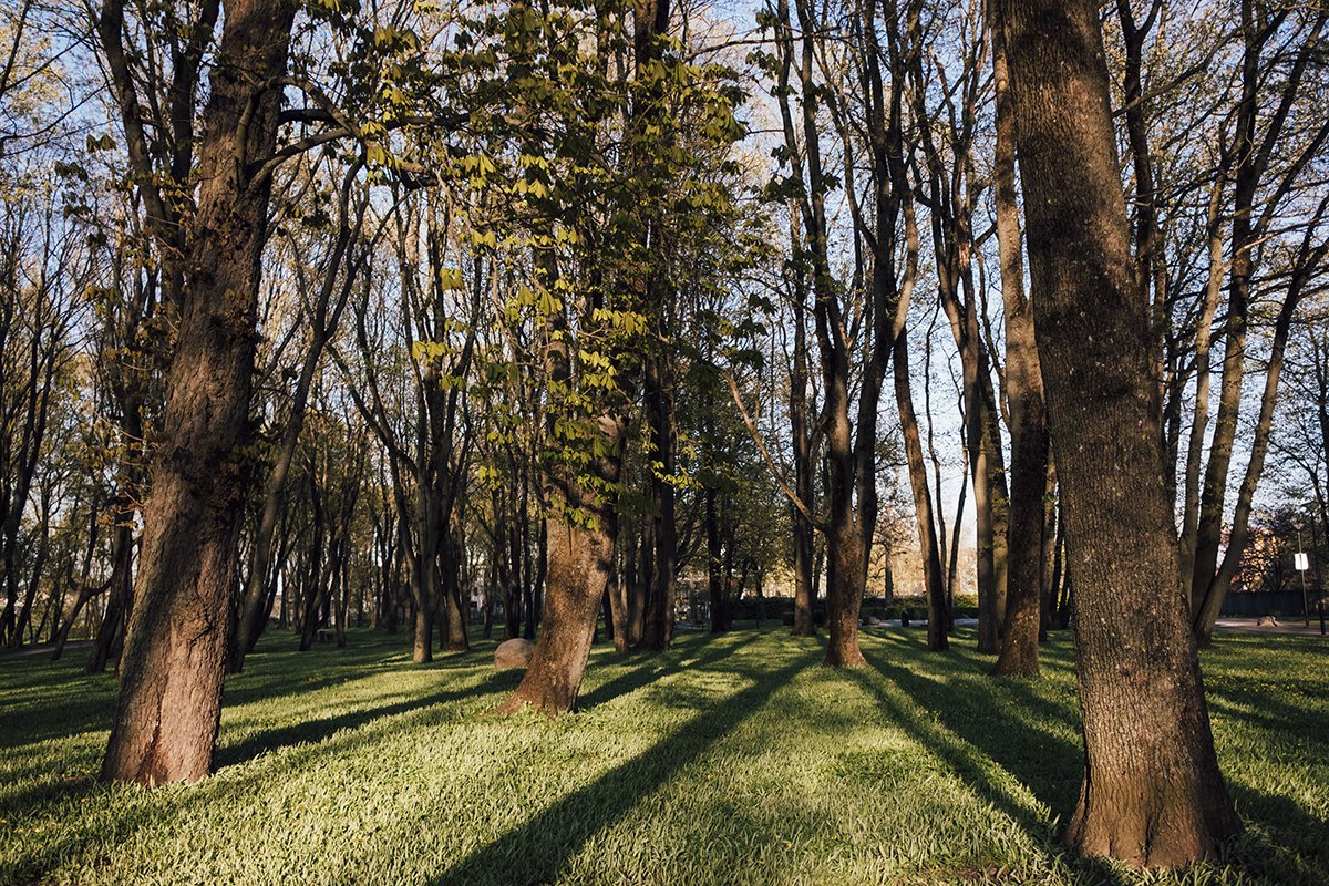 Photo from Kalamaja. Street Photography from Tallinn