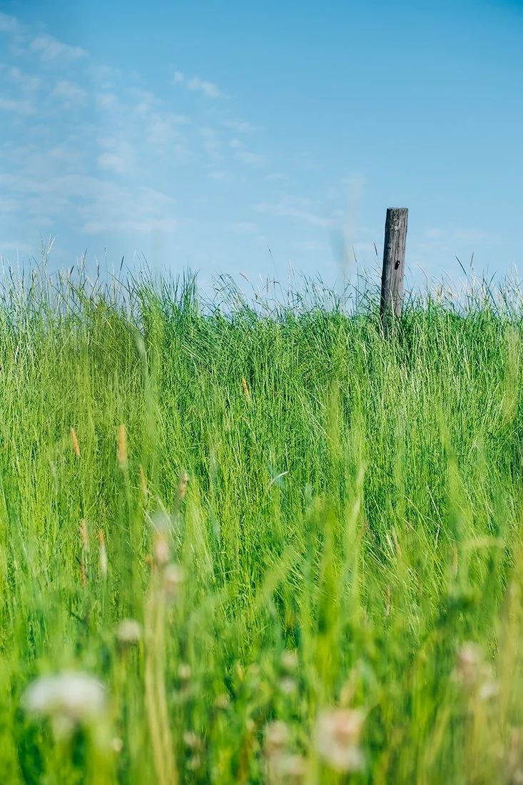Kaunista Suomalaista peltomaisemaa.