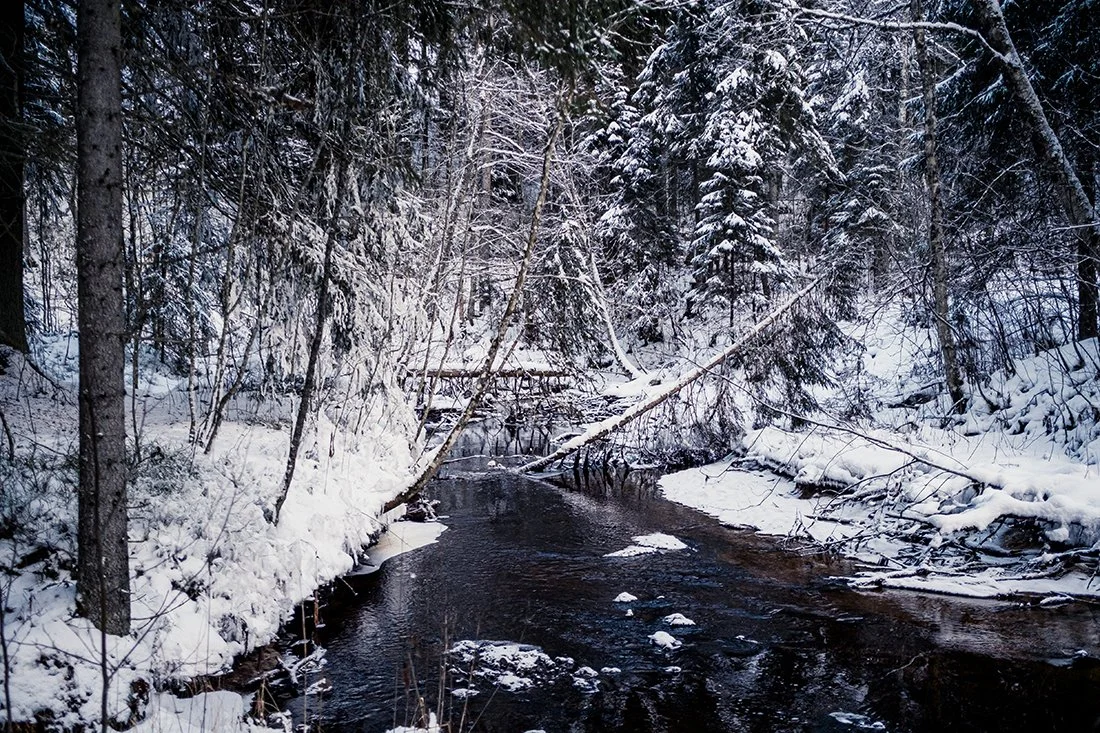 Talvimaisemaa Juupajoen rotkosta.