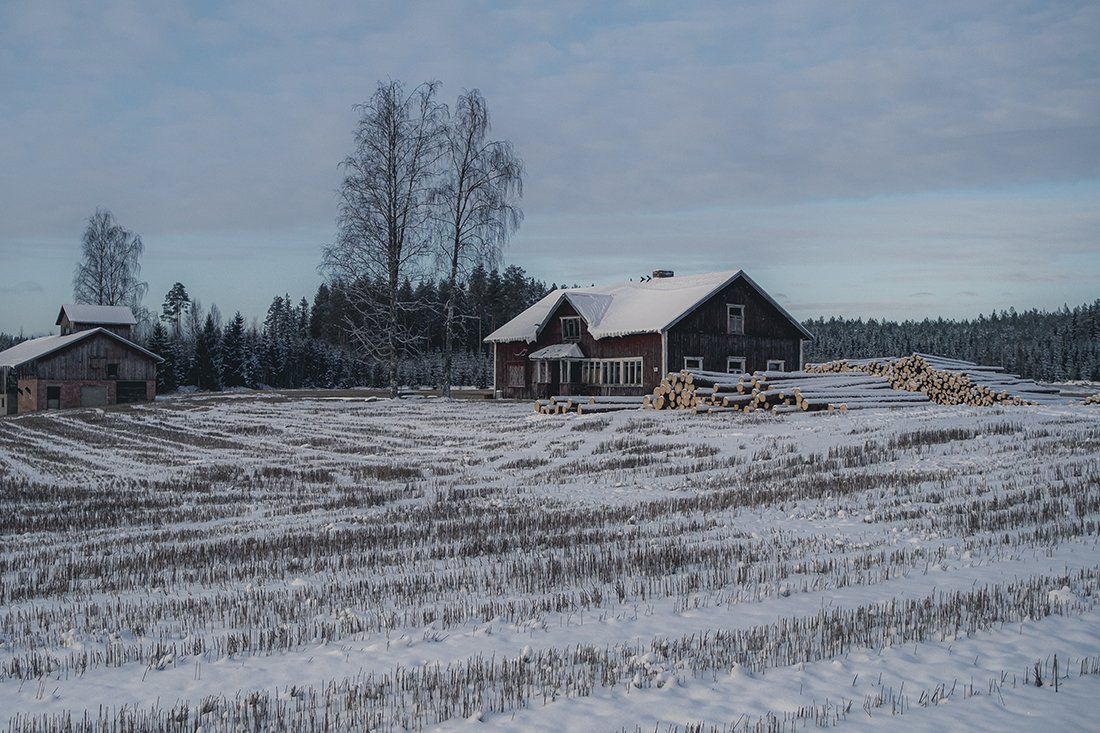 Valokuvia Kolhosta. Maatila Kolhossa