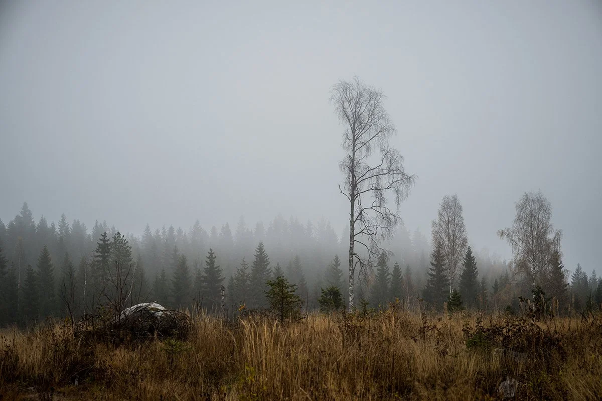Valokuvia Ruovedeltä. Sumuinen maisema Ruovedeltä