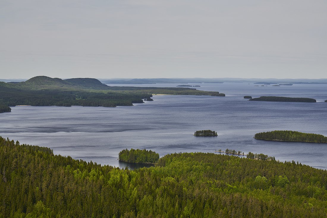 Maisema Mäkrävaaralta Pieliselle. Valokuvia Kolilta.